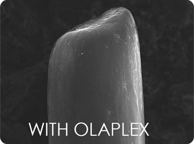 Olaplex Treatment Mallorca
