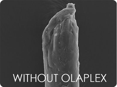 Olaplex Treatment Mallorca